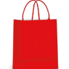 Sacola De Papel G 21x17x8cm - Lisa Cores Diversas