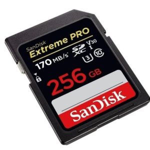 Cartão De Memória Sd 256gb