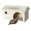 Casa casinha de tartatuga toca terrario
