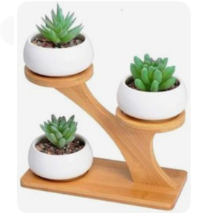 Suporte planta de madeira sem planta