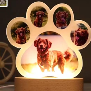Abajur Quadro decorativo com led rgb pata pet cachorro e foto personalizado
