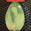 Folha planta arvore Personalizado
