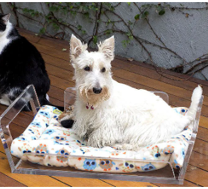 Cama pet em acrílico