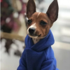 Roupa Cachorro Roupa Pet Casaquinho de frio soft