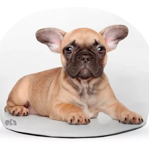 Peso De Porta Tecido Areia Personalizado Nome foto Marca Pet